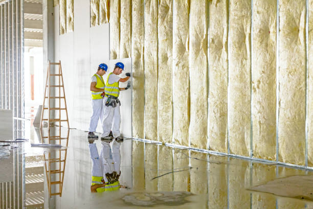 Best Specialized Insulation Services in Riverbank, CA